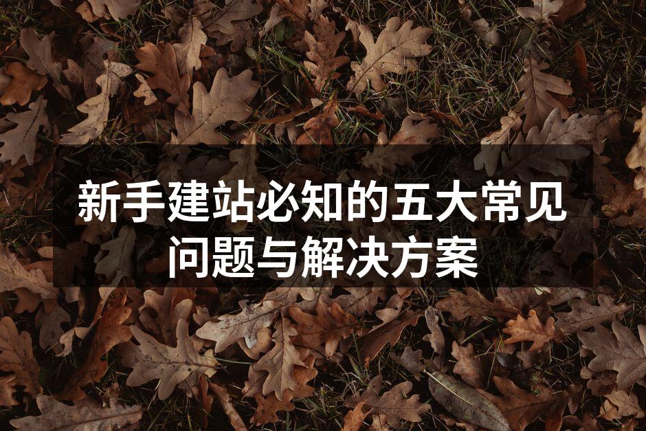 新手建站必知的五大常见问题与解决方案