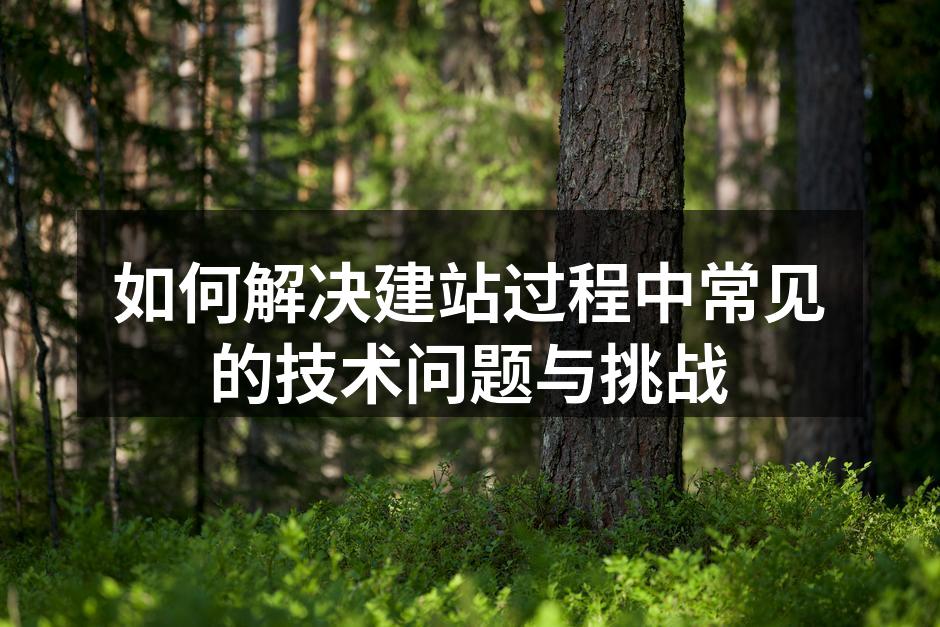 如何解决建站过程中常见的技术问题与挑战