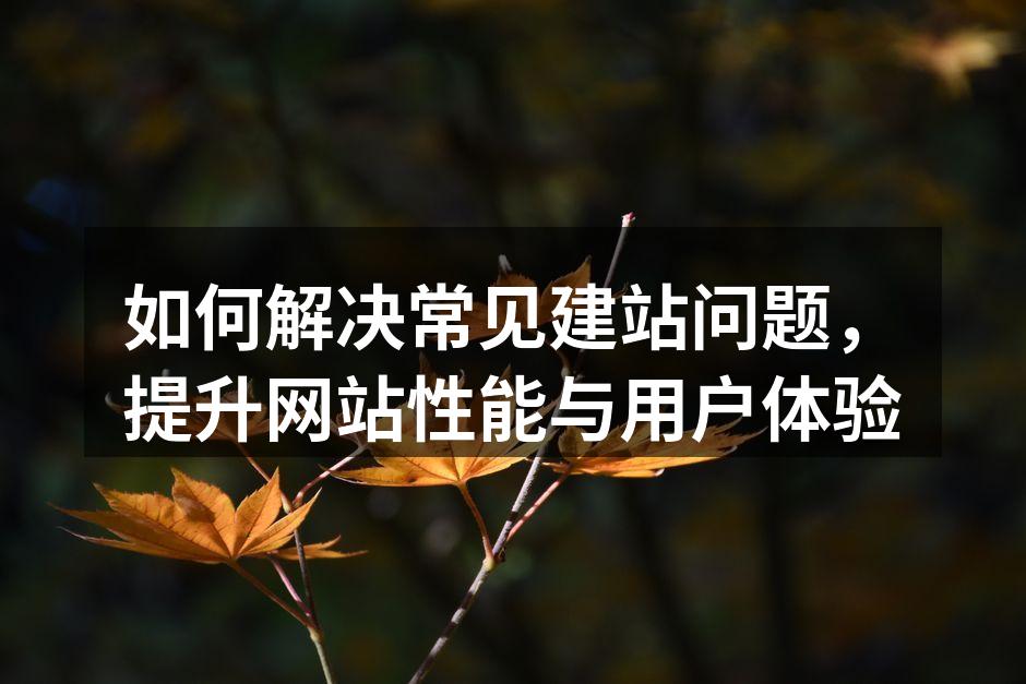 如何解决常见建站问题，提升网站性能与用户体验