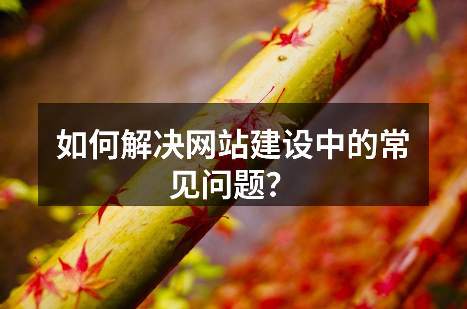 网站加载速度提升案例
